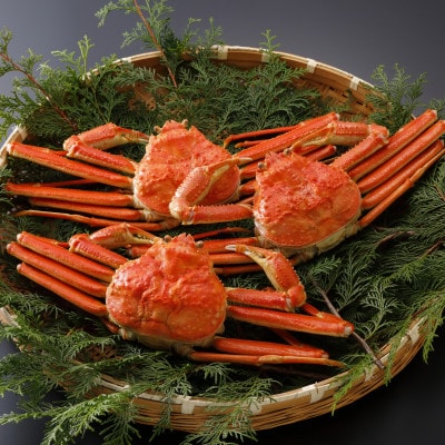 【先行予約】鳥取県産 訳あり 茹 松葉がに 700g×3杯(中村商店)25年12月・26年1月発送【配送不可地域：離島・北海道・沖縄県・東北・信越、北陸】