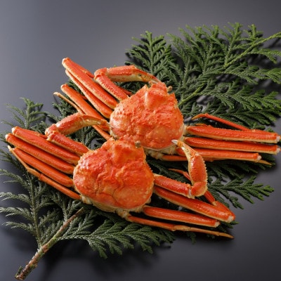 【先行予約】鳥取県産 訳あり 茹 松葉がに 500g×2杯(中村商店)25年12月・26年1月発送【配送不可地域：離島・北海道・沖縄県・東北・信越、北陸】