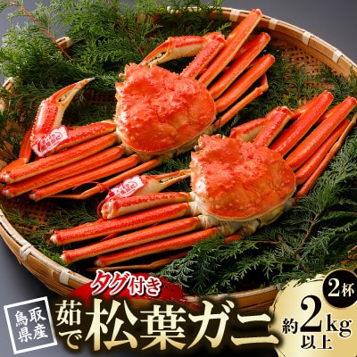 【先行予約】鳥取県産 タグ付き 茹 松葉がに 1kg以上×2杯(中村商店)2026年1月末～順次発送【配送不可地域：離島・北海道・沖縄県・東北・信越、北陸】