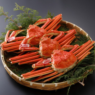 【先行予約】鳥取県産 タグ付き 茹 松葉がに 500g×3杯(中村商店)2026年1月末より順次発送【配送不可地域：離島・北海道・沖縄県・東北・信越、北陸】