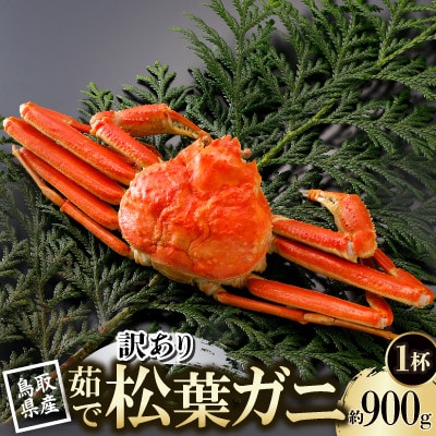 【先行予約】鳥取県産 訳あり 茹 松葉がに 900g×1杯(中村商店)2026年1月末より順次発送【配送不可地域：離島・北海道・沖縄県・東北・信越、北陸】