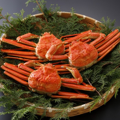 【先行予約】鳥取県産 訳あり 茹 松葉がに 500g×3杯(中村商店)2026年1月末より順次発送【配送不可地域：離島・北海道・沖縄県・東北・信越、北陸】