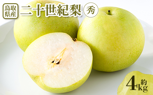 【先行予約】二十世紀梨　秀 約4kg【配送不可地域：離島・北海道・沖縄県】