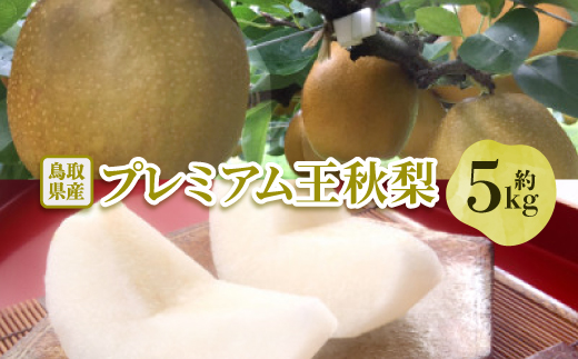 【先行予約】プレミアム王秋梨 約5kg【配送不可地域：離島・北海道・沖縄県】
