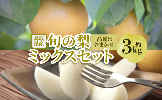 【先行予約】【品種はおまかせ】旬の梨ミックスセット 約3kg【配送不可地域：離島・北海道・沖縄県】