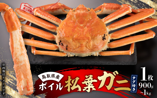 鳥取県産タグ付きボイル松葉ガニ1枚(900g～1kg)【配送不可地域：離島・北海道・沖縄県】