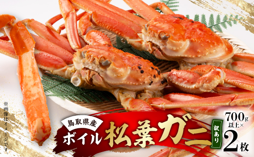 鳥取県産ボイル松葉ガニ訳あり!　2枚セット【配送不可地域：離島・北海道・沖縄県】