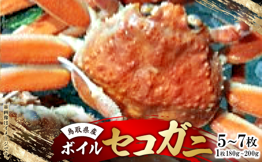 鳥取県産　ボイルセコガニ大　5～7枚(1枚:180～200g)【配送不可地域：離島・北海道・沖縄県】