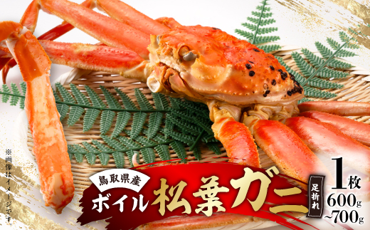 鳥取県産　厳選!ボイル足折松葉ガニ中1枚(600～700gサイズ)【配送不可地域：離島・北海道・沖縄県】