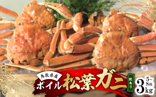 鳥取県産　ボイル松葉ガニおまかせ　3kg【配送不可地域：離島・北海道・沖縄県・東北・関東・信越、北陸・東海・九州】