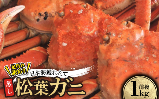 【先行予約】訳あり足が折れた蒸し松葉ガニ1kg前後【配送不可地域：離島・北海道・沖縄県】