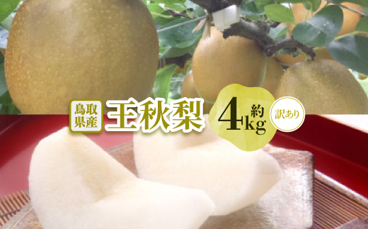 【訳あり】王秋梨 4kg(4～13玉前後)【配送不可地域：離島・北海道・沖縄県】
