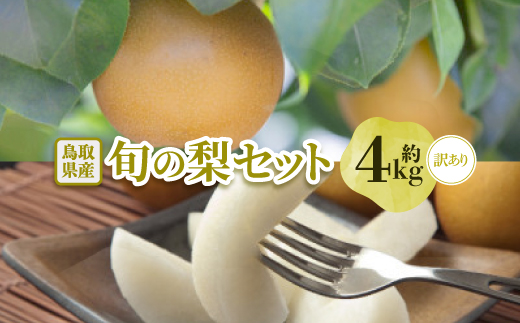【訳あり】鳥取県産旬の梨セット 4kg【配送不可地域：離島・北海道・沖縄県】
