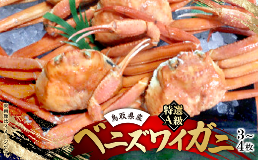鳥取境港産　特選A級ベニズワイガニ詰め合わせ(3～4枚)【配送不可地域：離島・北海道・沖縄県】