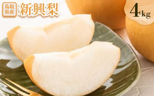 新興梨 4kg【配送不可地域：離島・北海道・沖縄県】