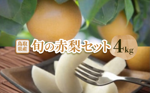 【先行予約】【品種はおまかせ】旬の赤梨セット　4kg【配送不可地域：離島・北海道・沖縄県】