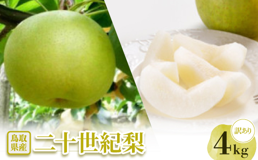 【訳あり】二十世紀梨　4kg【配送不可地域：離島・北海道・沖縄県】