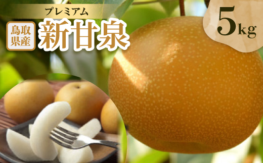 プレミアム新甘泉 5kg【配送不可地域：離島・北海道・沖縄県】