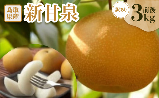 訳あり　新甘泉(しんかんせん)　3kg前後【配送不可地域：離島・北海道・沖縄県】