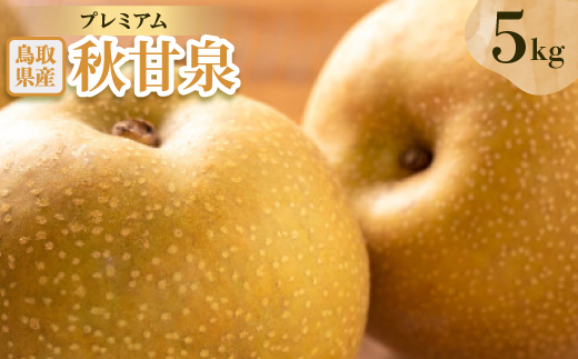 プレミアム秋甘泉 5kg【配送不可地域：離島・北海道・沖縄県】