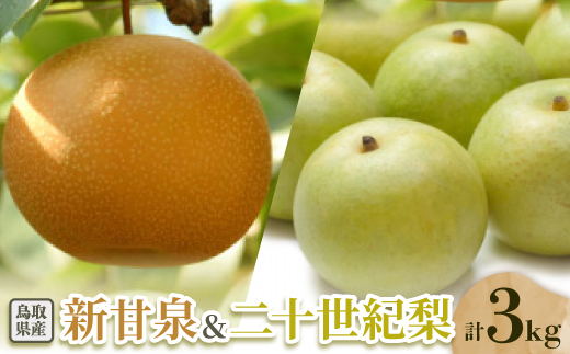 二十世紀梨と新甘泉のセット 3kg【配送不可地域：離島・北海道・沖縄県】