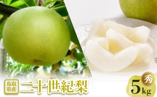 二十世紀梨 秀5kg【配送不可地域：離島・北海道・沖縄県】