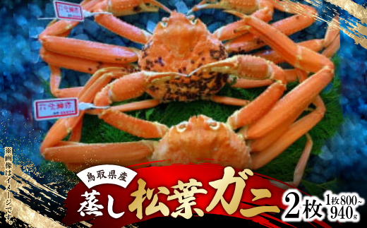 【蒸し】タグ付き松葉ガニ　大　2枚(1枚800～940g前後)【配送不可地域：離島・北海道・沖縄県】