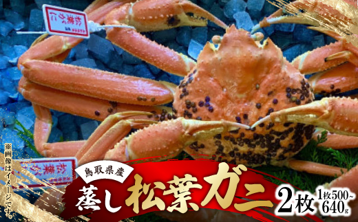 【蒸し】タグ付き松葉ガニ　中2枚(500～640g前後/枚)【配送不可地域：離島・北海道・沖縄県】