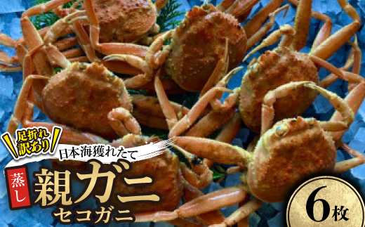 【蒸し】訳あり足折れ日本海産親ガニ(セコガニ)　6枚【配送不可地域：離島・北海道・沖縄県】