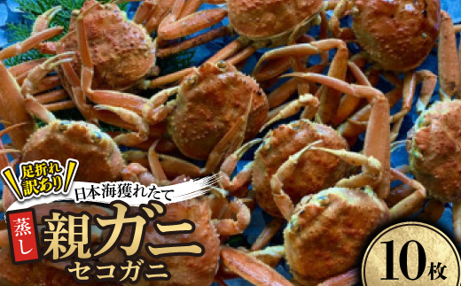 【蒸し】訳あり足折れ日本海産親ガニ(セコガニ)　10枚【配送不可地域：離島・北海道・沖縄県】
