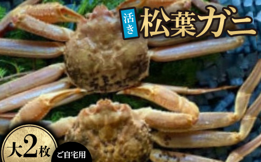 【活き】ご自宅用　松葉ガニ　大　2枚(1枚800～940g前後)【配送不可地域：離島・北海道・沖縄県】