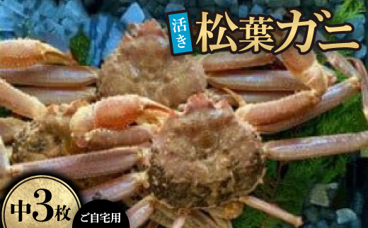 【活き】ご自宅用　松葉ガニ　中　3枚(1枚500～640g前後)【配送不可地域：離島・北海道・沖縄県】