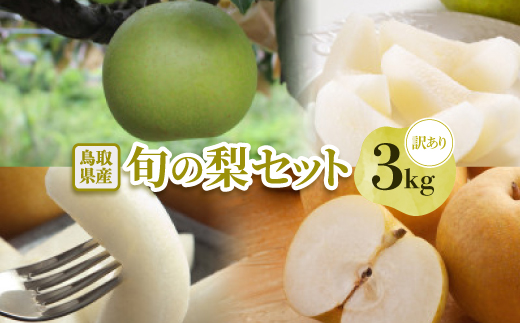 【訳あり】鳥取県産旬の梨 3kg【配送不可地域：離島・北海道・沖縄県】