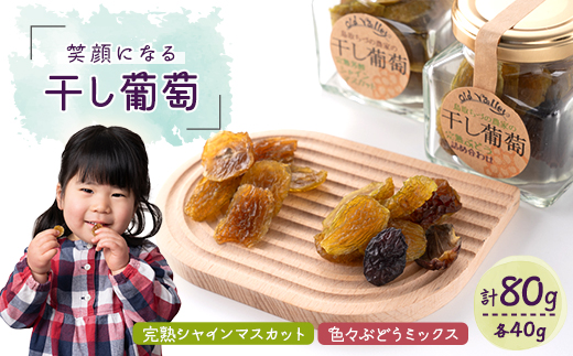 笑顔になる干し葡萄【完熟シャインマスカット】【色々ぶどうミックス】瓶詰セット