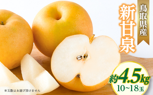 新甘泉【配送不可地域：離島・北海道・沖縄県】