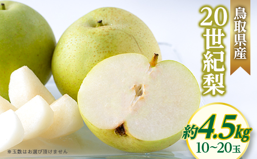20世紀梨【配送不可地域：離島・北海道・沖縄県】