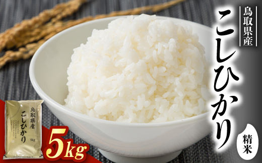 【食味鑑定士厳選】鳥取県産 コシヒカリ5kg(5kg×1袋) 精米