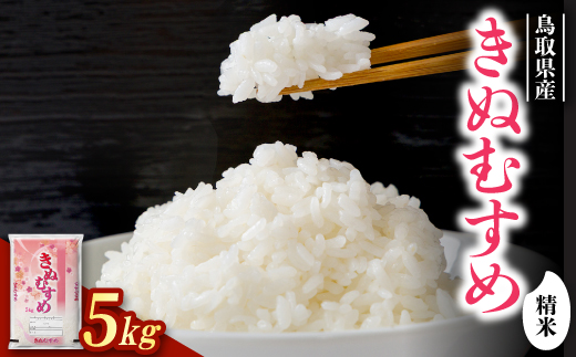 【食味鑑定士厳選】鳥取県産 きぬむすめ5kg(5kg×1袋) 精米