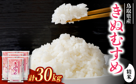 【食味鑑定士厳選】鳥取県産 きぬむすめ30kg(5kg×6袋) 精米