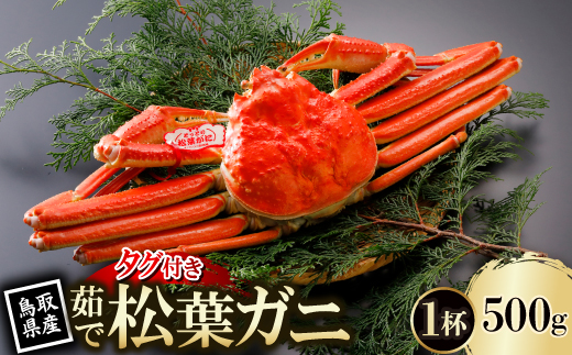 【先行予約】鳥取県産 タグ付き 茹 松葉がに 500g×1杯(中村商店)25年12月・26年1月発送【配送不可地域：離島・北海道・沖縄県・東北・信越、北陸】