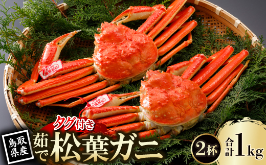 【先行予約】鳥取県産 タグ付き 茹 松葉がに 500g×2杯(中村商店)25年12月・26年1月発送【配送不可地域：離島・北海道・沖縄県・東北・信越、北陸】