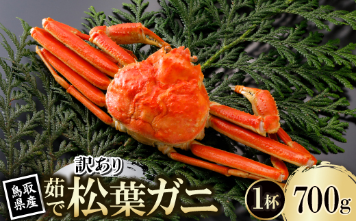 【先行予約】鳥取県産 訳あり 茹 松葉がに 700g×1杯(中村商店)25年12月・26年1月発送【配送不可地域：離島・北海道・沖縄県・東北・信越、北陸】