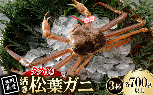 【先行予約】鳥取県産 タグ付き 活 松葉がに 700g×3杯(中村商店)2026年1月末より順次発送【配送不可地域：離島・北海道・沖縄県・東北・信越、北陸】