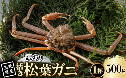 【先行予約】鳥取県産 訳あり 活 松葉がに 500g×1杯(中村商店)2026年1月末より順次発送【配送不可地域：離島・北海道・沖縄県・東北・信越、北陸】