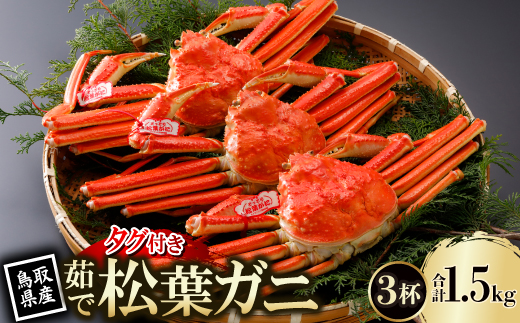 【先行予約】鳥取県産 タグ付き 茹 松葉がに 500g×3杯(中村商店)2026年1月末より順次発送【配送不可地域：離島・北海道・沖縄県・東北・信越、北陸】