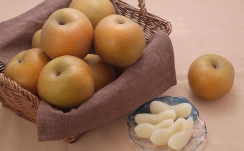 【2024年発送分先行予約】新甘泉(赤秀) 5kg