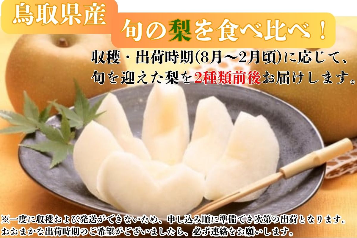 【訳あり】鳥取県産旬の梨セット 4kg