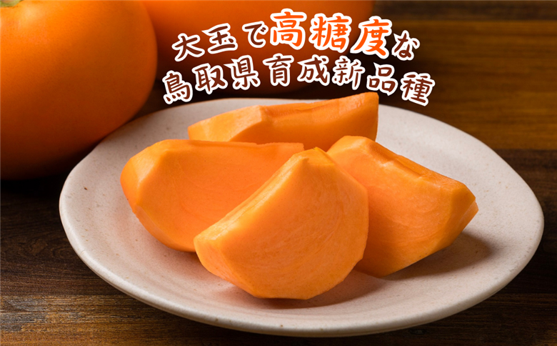 輝太郎柿 3kg(ご家庭用)