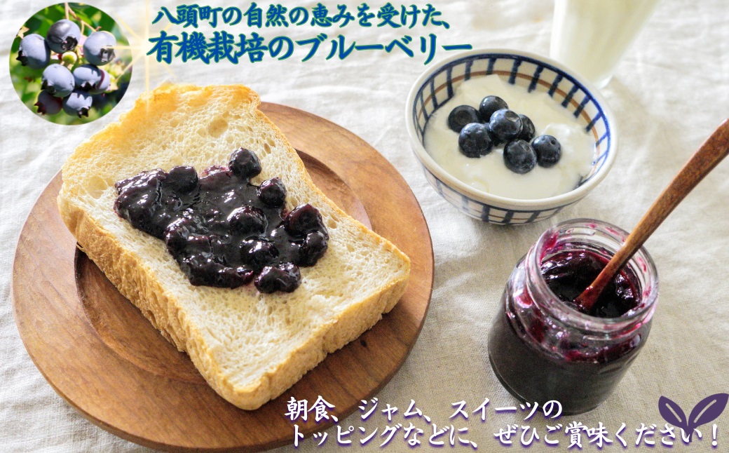 完熟有機ブルーベリー500g【有機JAS認定】