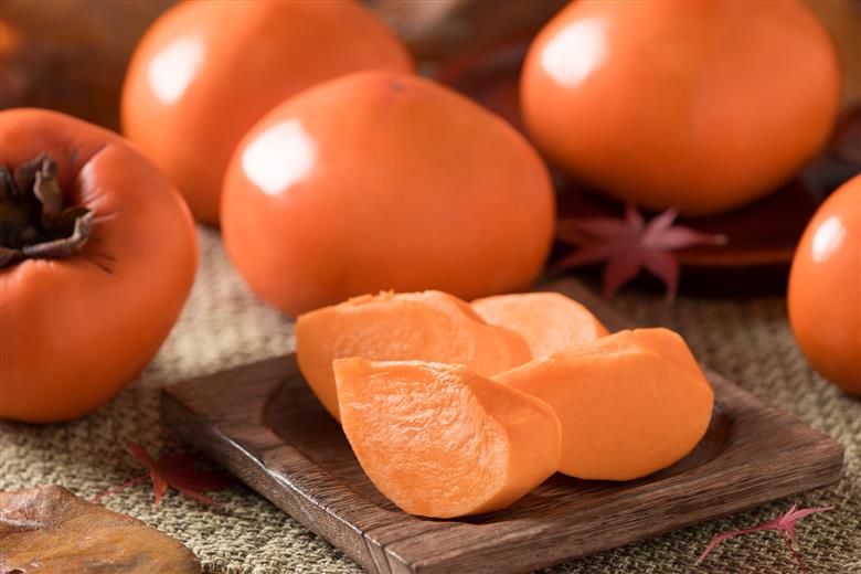 【2025年発送分】八頭町が誇る日本随一の甘柿『花御所柿』 2kg